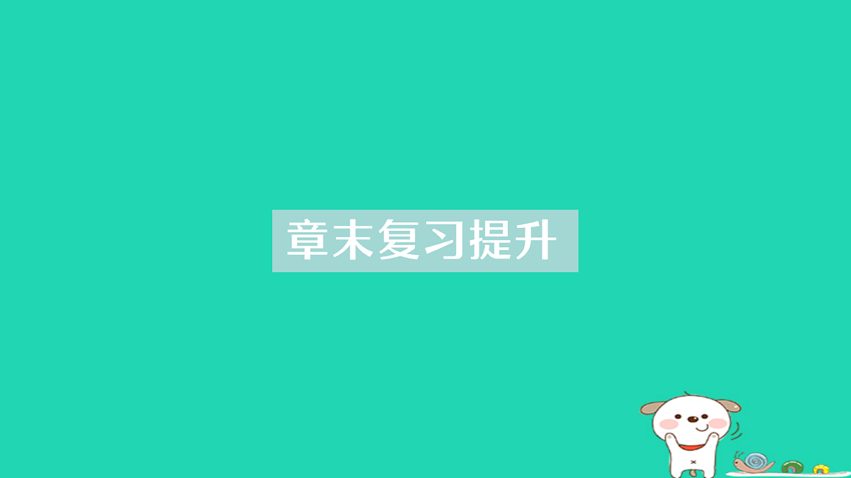17313877第1页