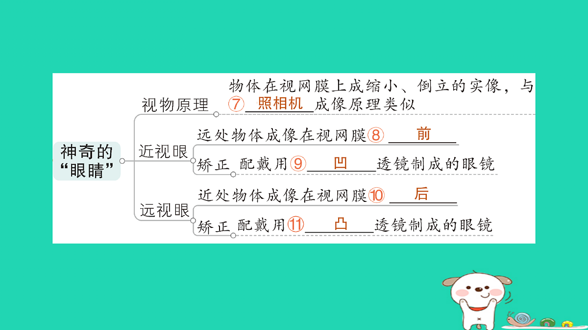 17313877第4页