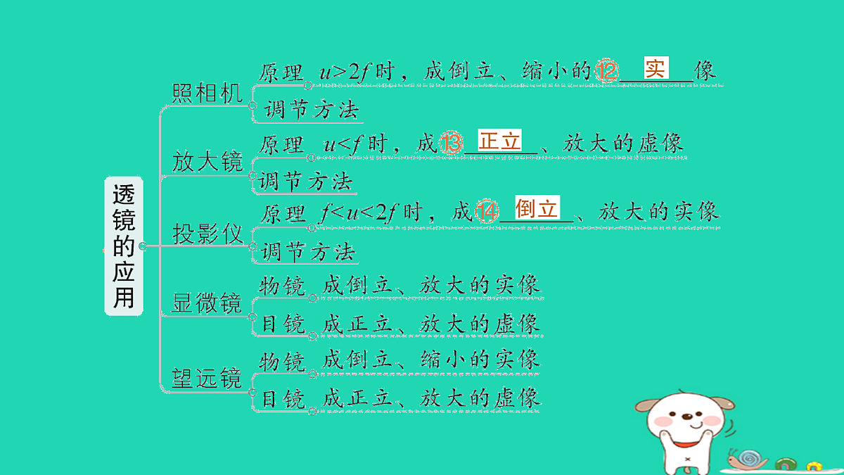 17313877第5页