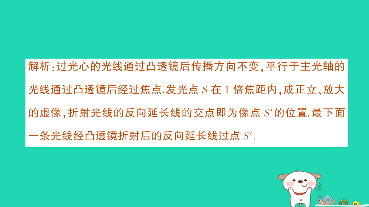 17313877第7页