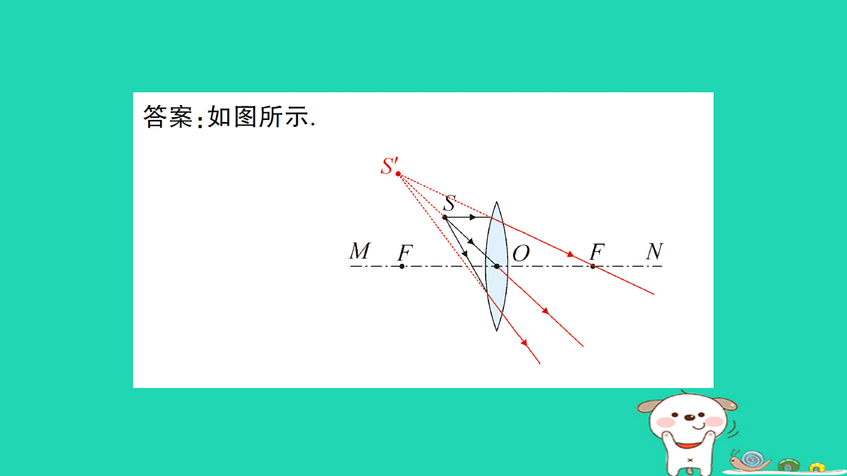 17313877第8页