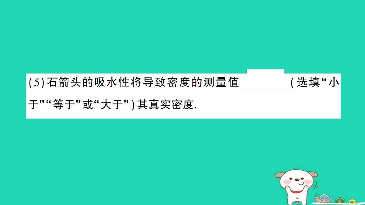 17313878第8页