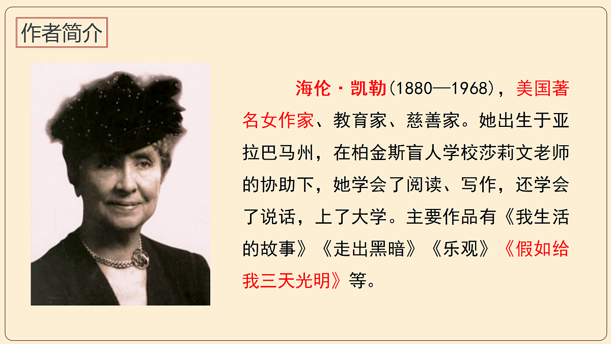 17313899第4页