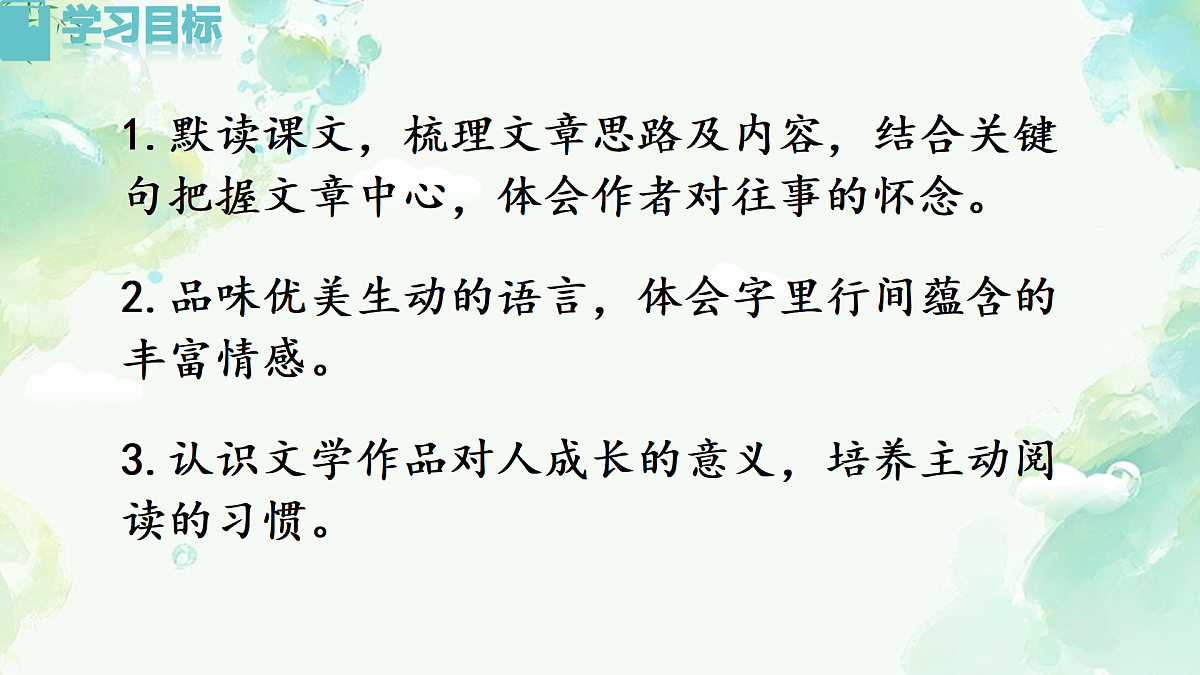 17313906第3页