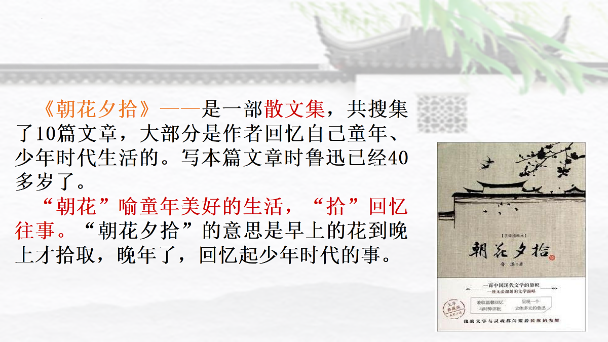 17313908第5页