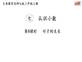 7.5 竹子的生长（课件+教案）2025-2026学年北师大三年级数学上册