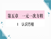 2025年北师大版（2024）初中数学七年级上册1  认识方程习题课课件（含答案）