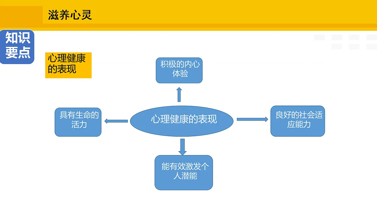 17315268第8页
