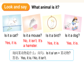 外研版join in（2024）英语四年级上册 Unit 6 Our animal friends 第3课时（Language in use ）(课件+含音视频）