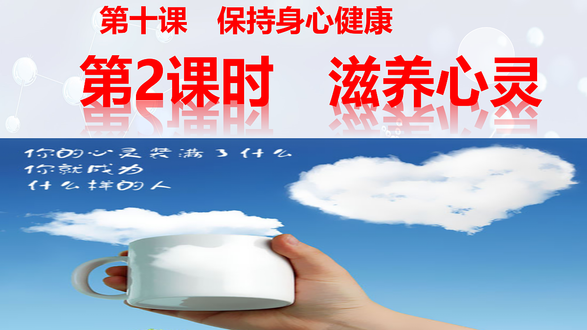 17315536第2页