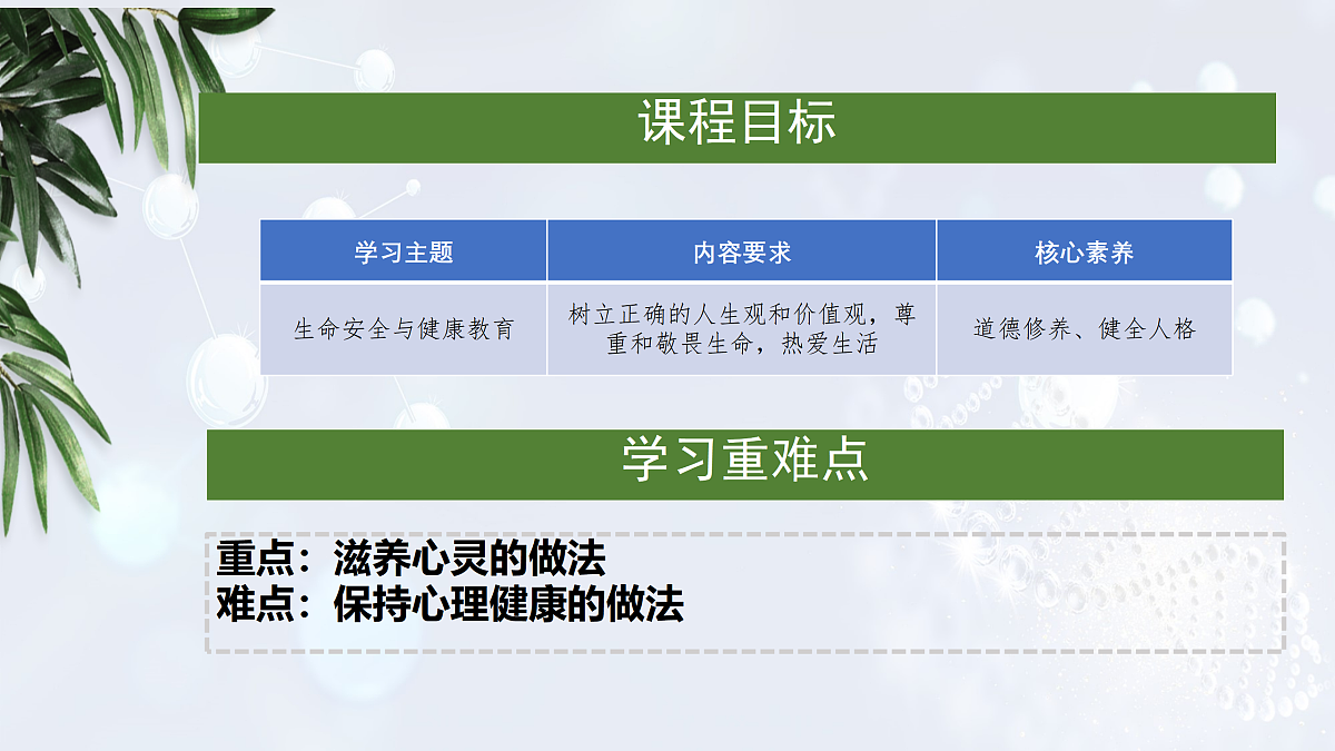 17315536第3页