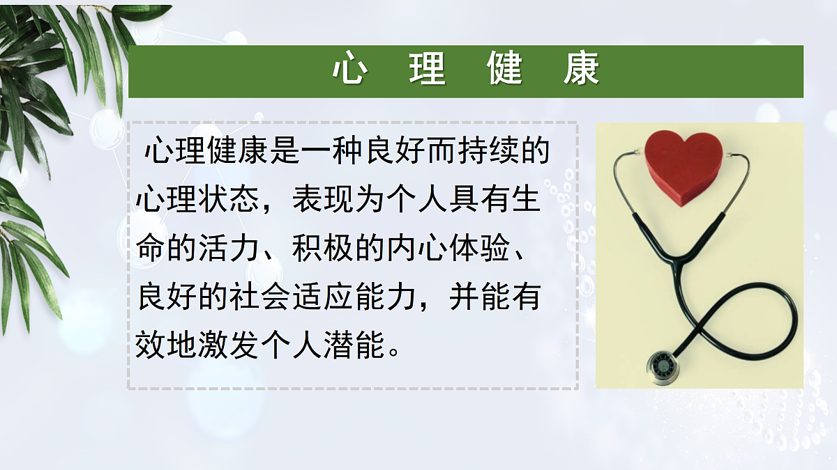 17315536第8页
