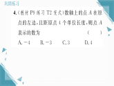2025年华东师大版（2024）初中数学七年级上册1.2  数轴1  数轴习题课课件（含答案）