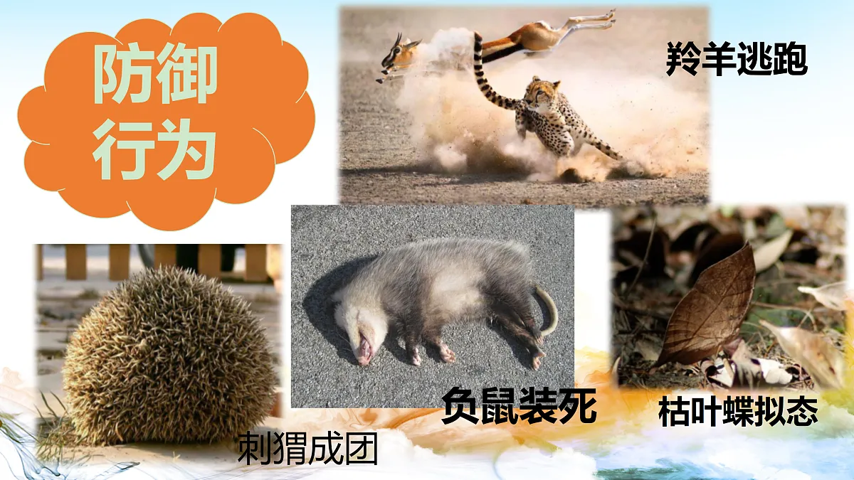17315771第4页