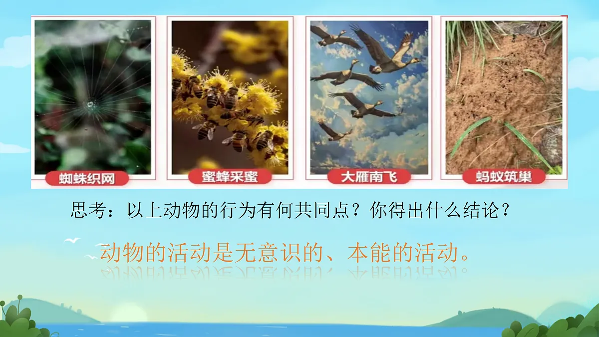 17315772第3页