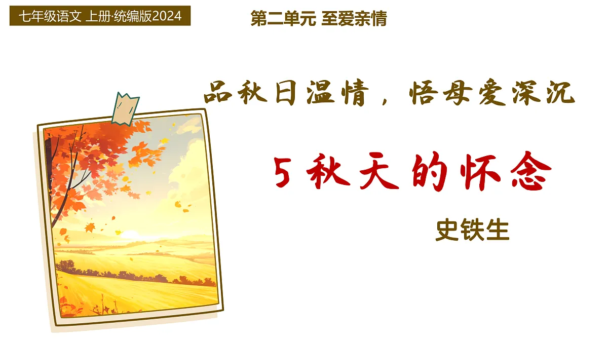 17315923第1页