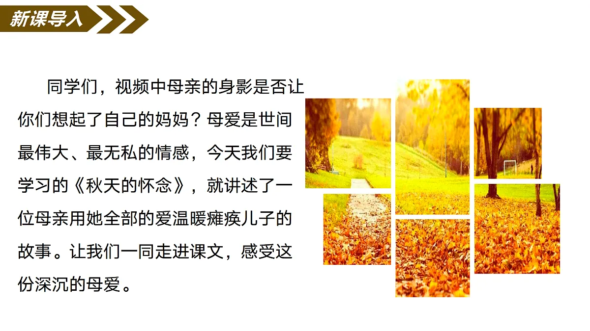 17315923第4页