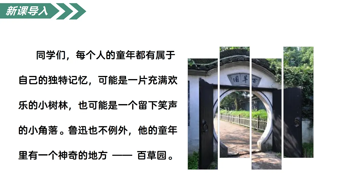17315925第3页