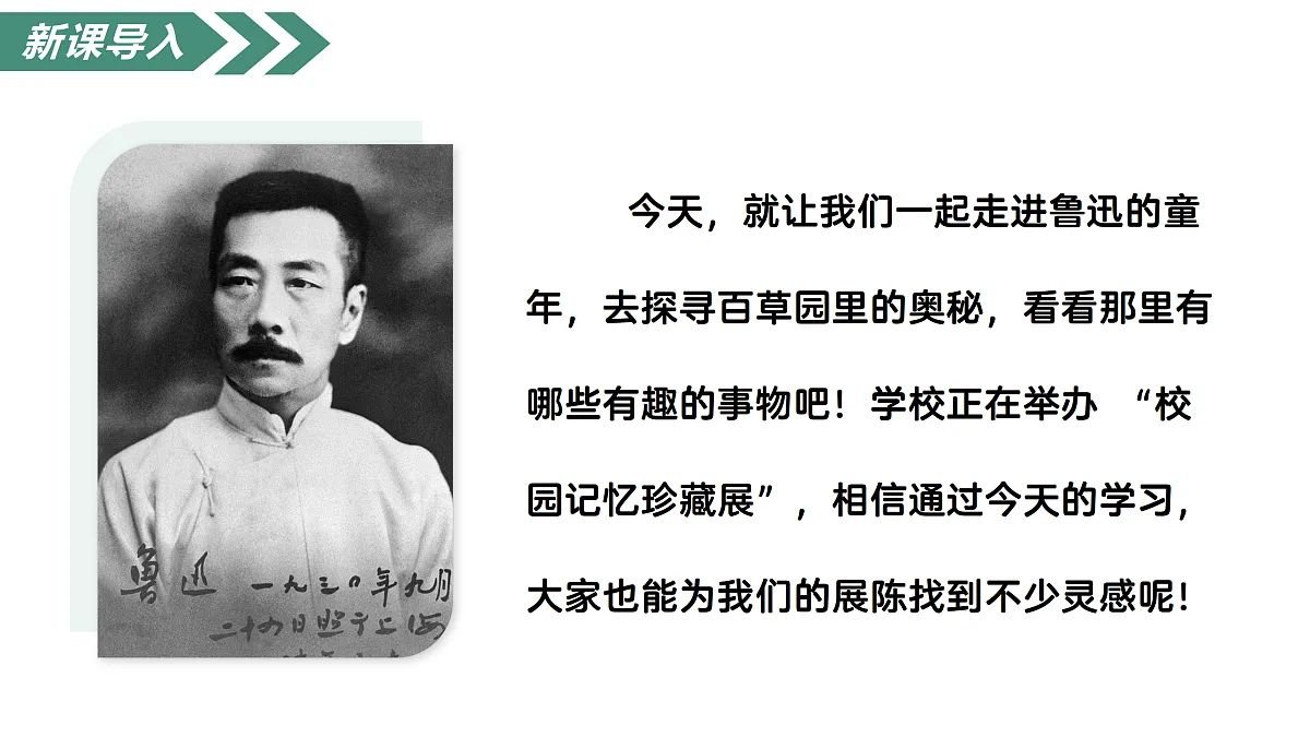 17315925第4页