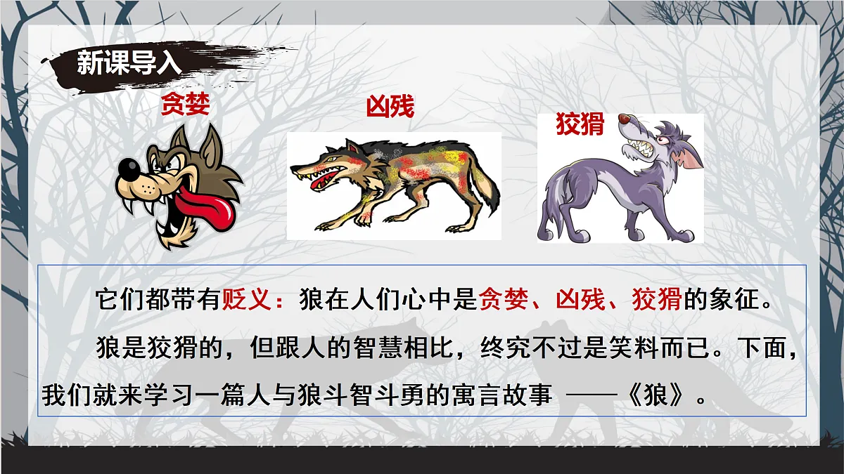 17315928第3页