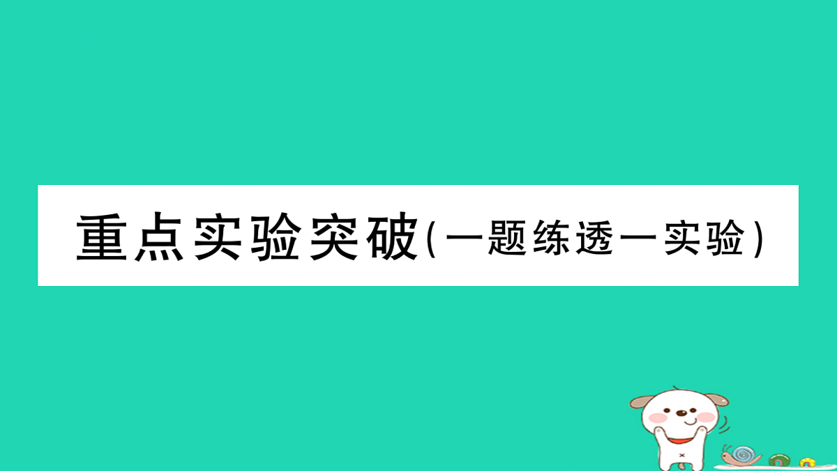 17315964第1页