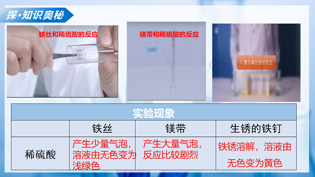 课题2 认识酸、碱、盐的性质和应用 第1课时（教学课件）化学沪科版五四学制2024九年级全一册第8页