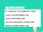 2025八年级物理上册第2章运动与能量第4节能量作业课件新版教科版(含答案）