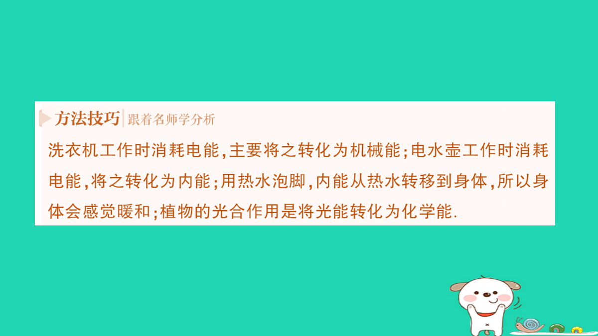 17316062第6页