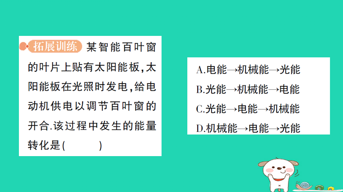 17316062第7页
