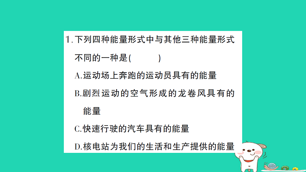 17316062第8页