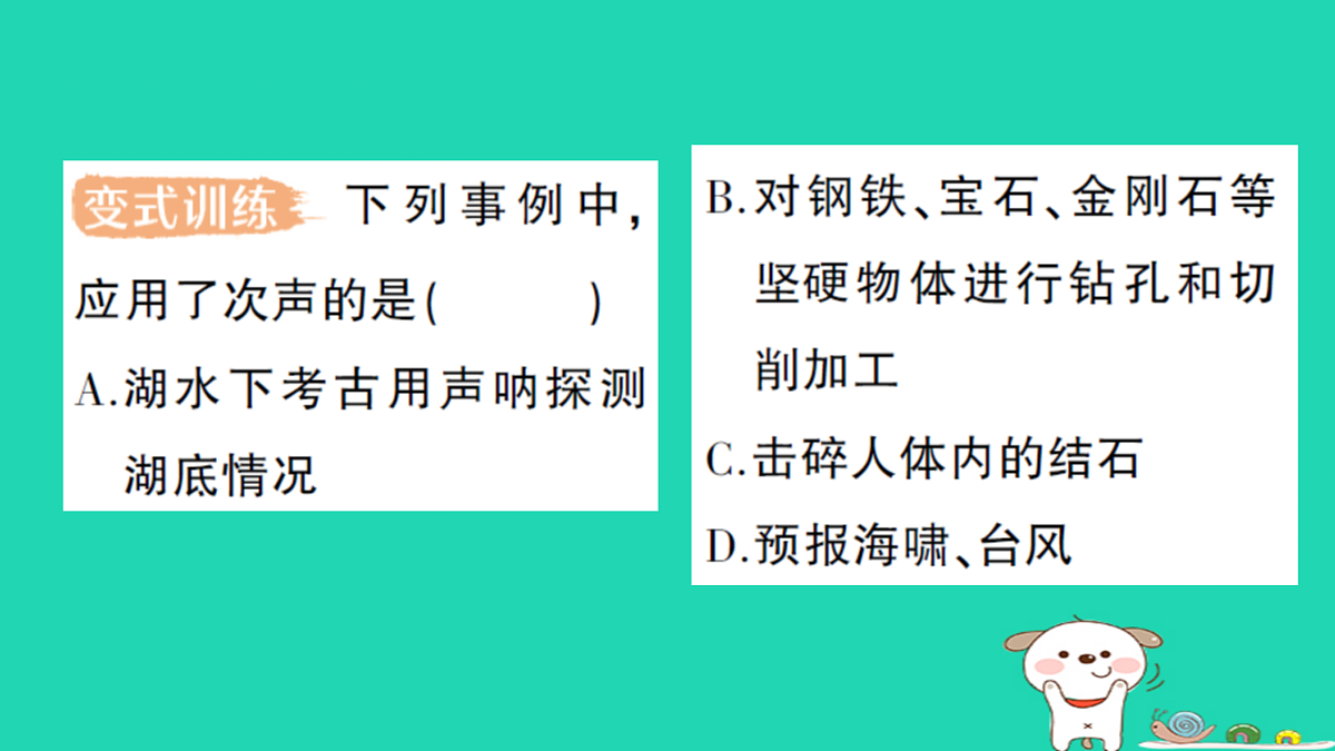 17316066第8页