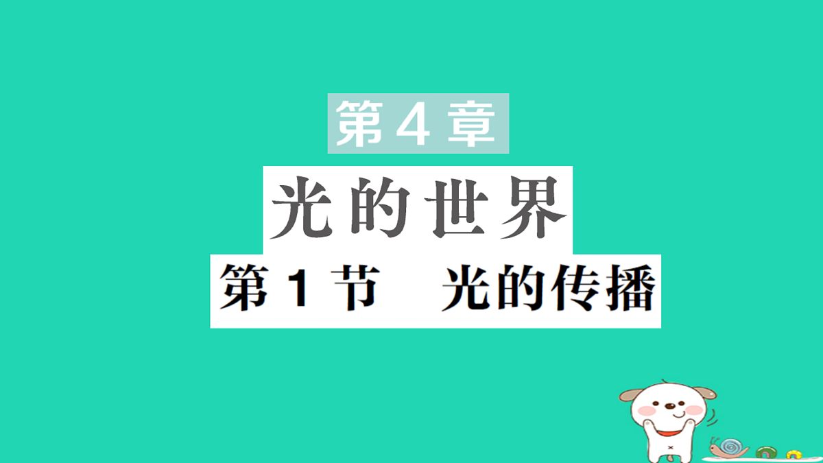 17316068第1页