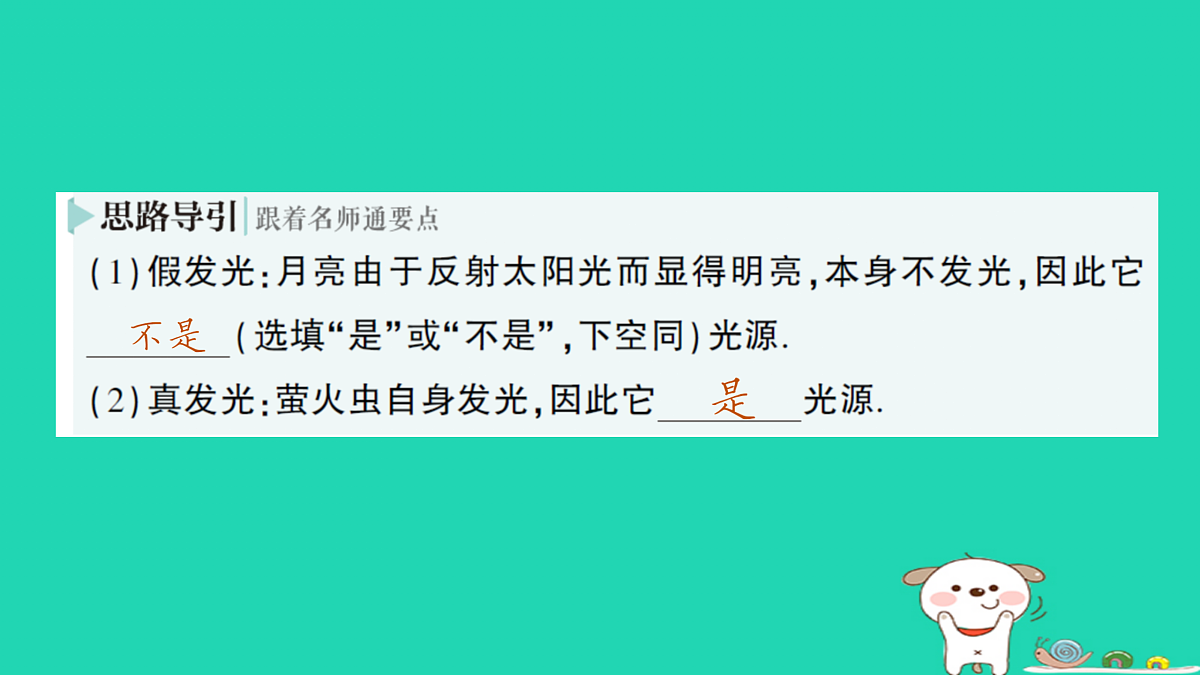 17316068第3页