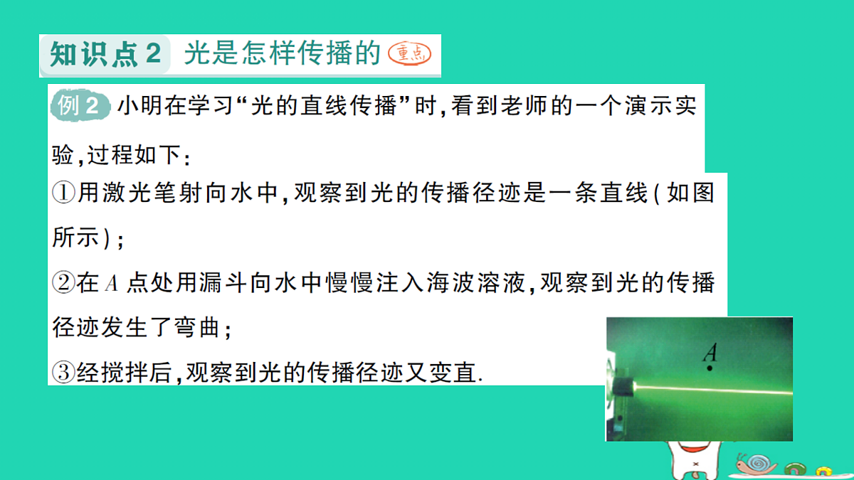 17316068第5页