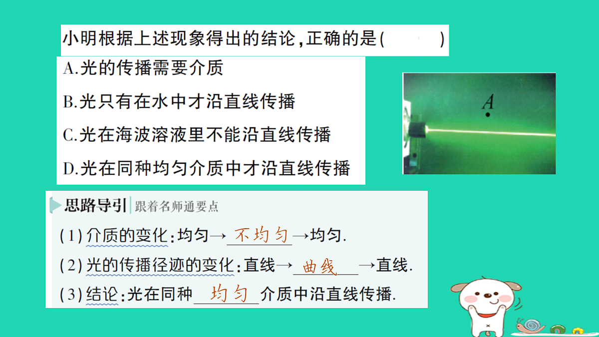 17316068第6页