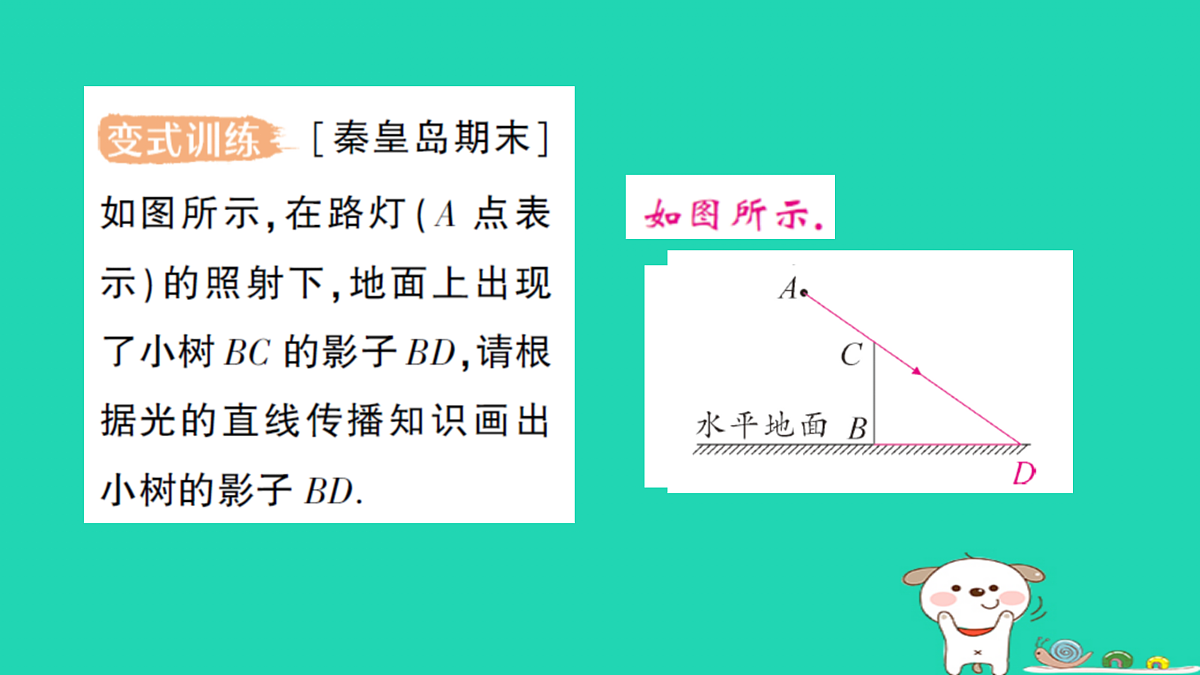17316068第8页