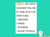 2025八年级物理上册第4章光的世界第4节光的折射作业课件新版教科版(含答案）