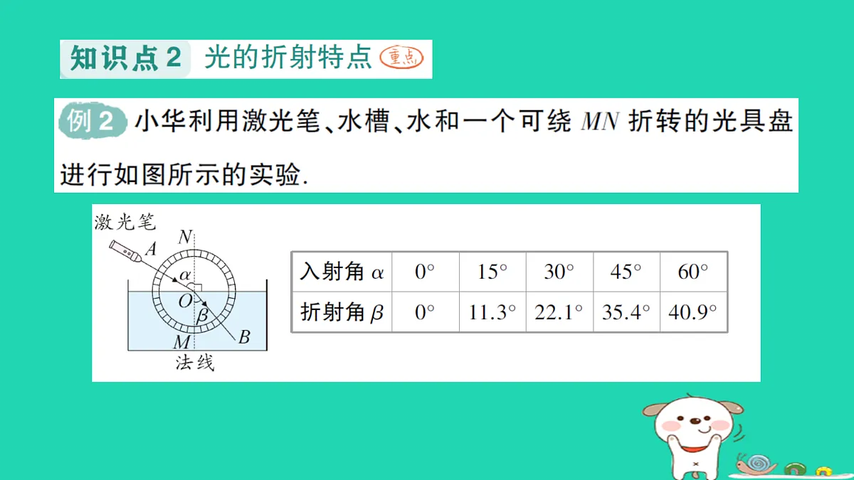 17316072第5页