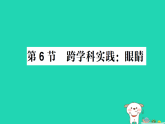 2025八年级物理上册第4章光的世界第6节跨学科实践：眼睛作业课件新版教科版(含答案）
