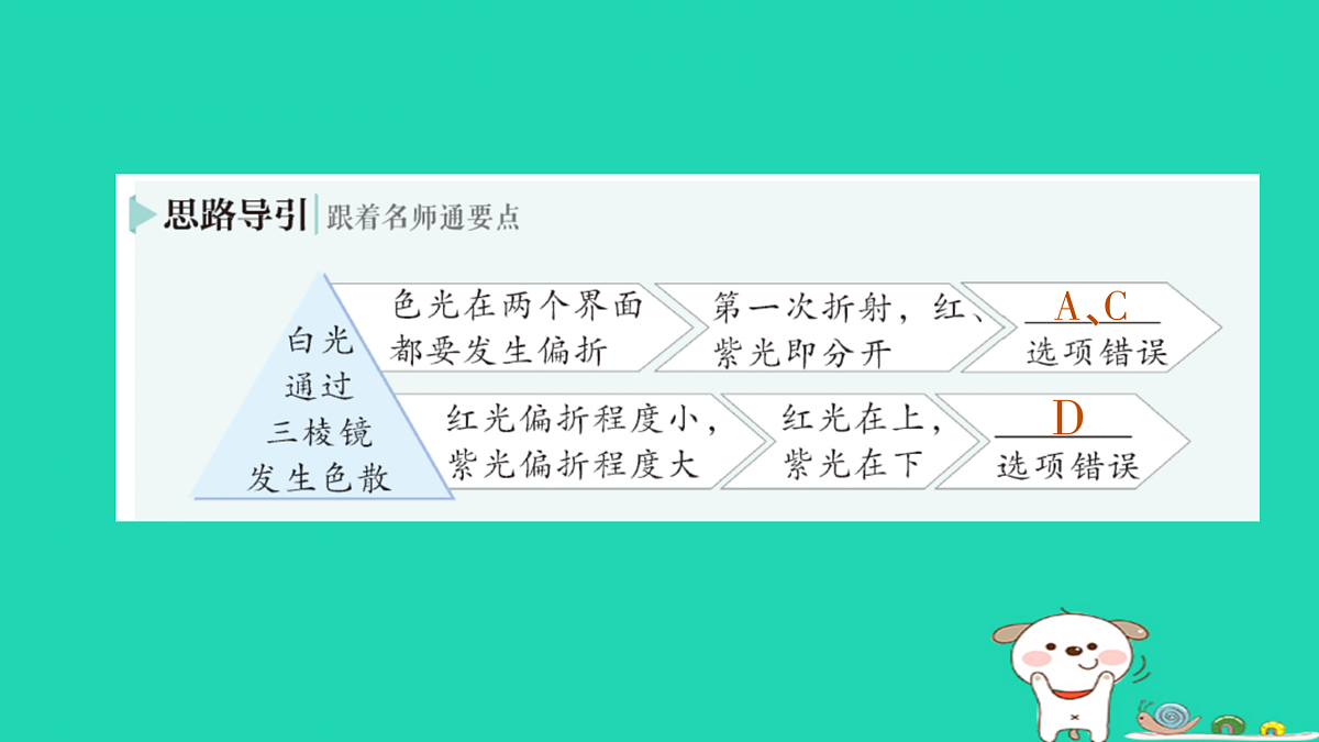 17316076第3页