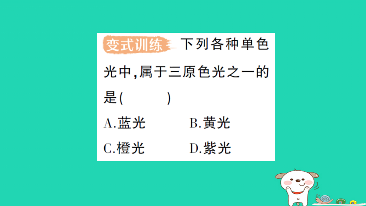 17316076第6页