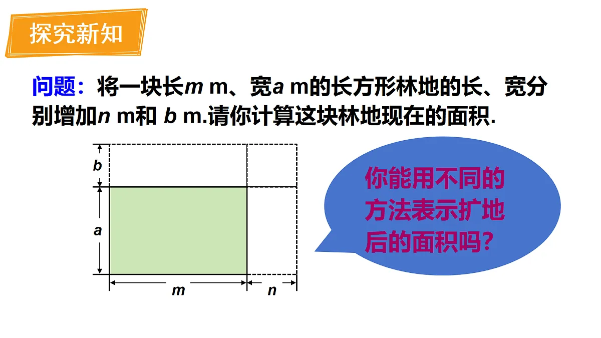 17316333第3页