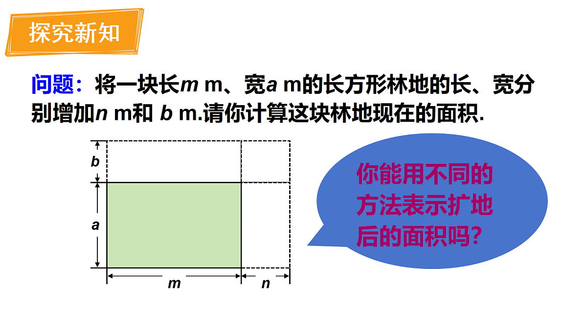 17316333第3页