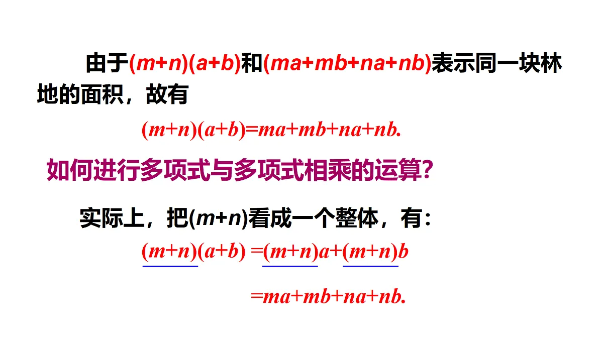 17316333第5页