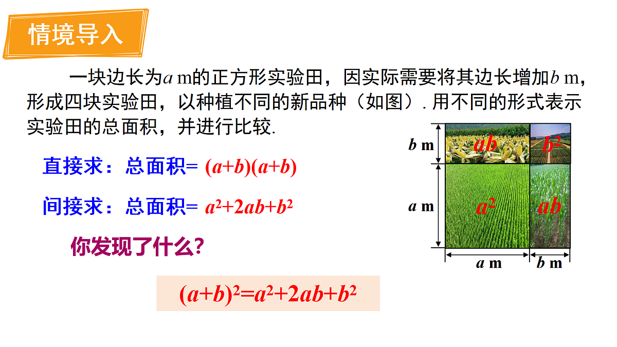 17316335第2页