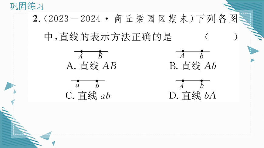 17316391第3页