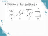 2025年华东师大版（2024）初中数学七年级上册4.1  相交线3  同位角、内错角、同旁内角习题课课件（含答案）