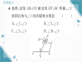 2025年华东师大版（2024）初中数学七年级上册4.1  相交线3  同位角、内错角、同旁内角习题课课件（含答案）