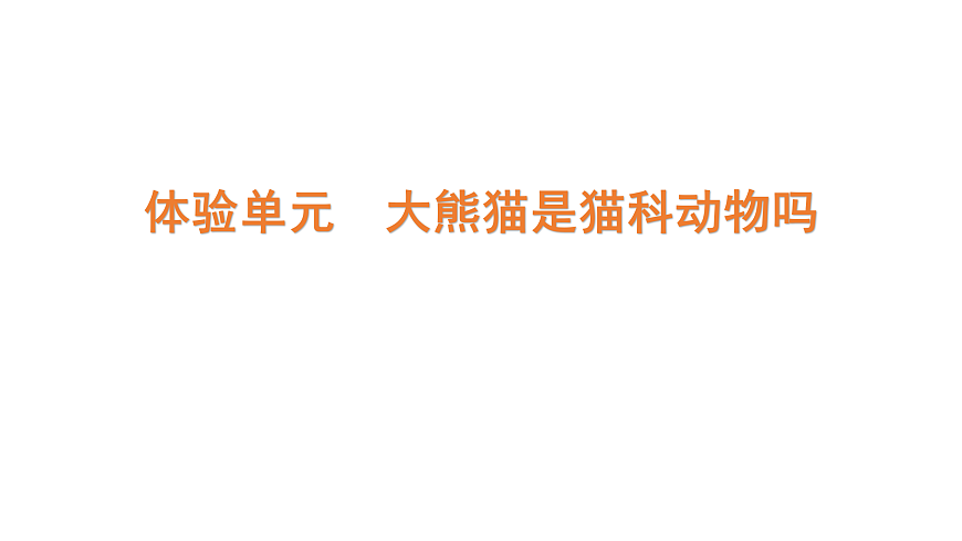 17316956第1页