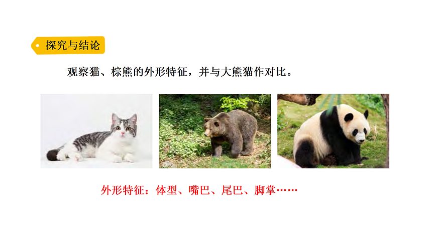 17316956第5页